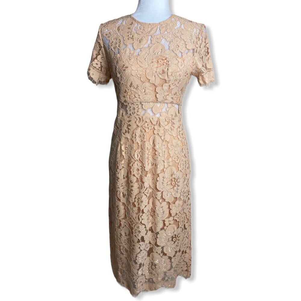 NSR Lace Short Sleeve Sheath Midi Dress in Beige Womens Sz Small $115